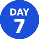 Day 7 How it works web Lakeland