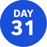Day 31 How it works web Lakeland